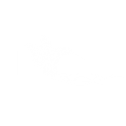HummingDream Production Company Logo Design