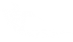 HummingDream Production Company Logo Design