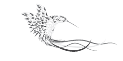 HummingDream Logo Design