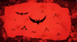 Follow the Science Animated Title Sequence