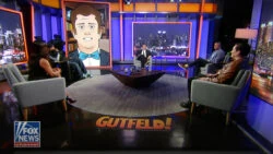 Gutfeld Animation Studio Overview